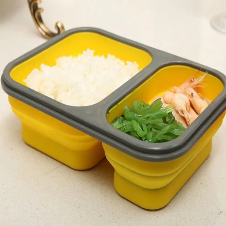 Rectangular Food Storage Container with 2 Compartments