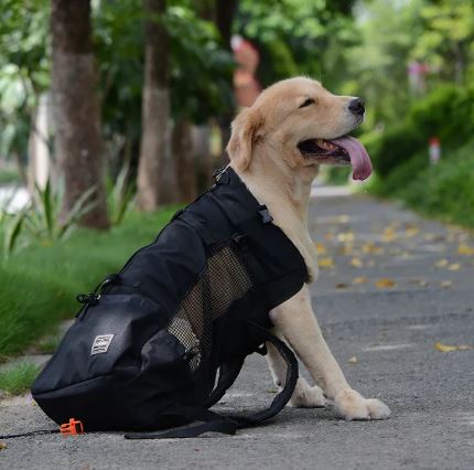 Transportín para perros para senderismo, motos o bicis