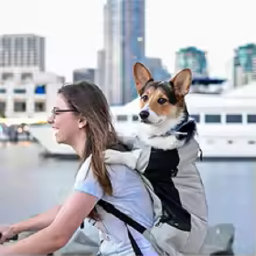 Transportín para perros para senderismo, motos o bicis