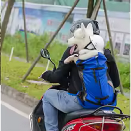 Transportín para perros para senderismo, motos o bicis